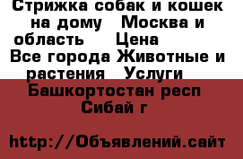 Стрижка собак и кошек на дому.  Москва и область.  › Цена ­ 1 200 - Все города Животные и растения » Услуги   . Башкортостан респ.,Сибай г.